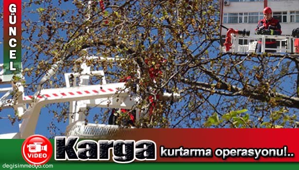 AĞAÇTA MAHSUR KALAN KARGAYI İTFAİYE KURTARDI