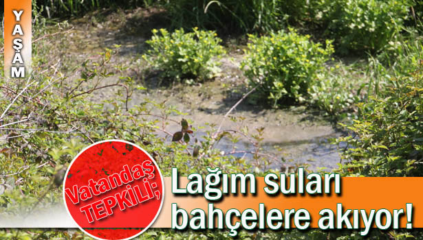 LAĞIM SULARI BAHÇELERE AKIYOR!