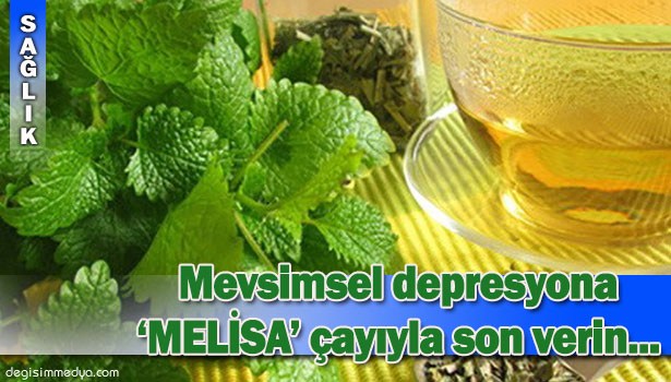 MELİSA ÇAYI STRES DEN UZAKLAŞTIRIYOR, YORGUNLUK BELİRTİLERİNİ AZA İNDİRİYOR...