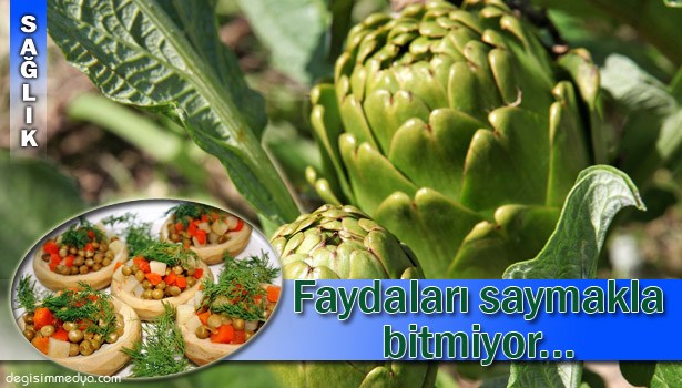 ENGİNAR HER DERDE DEVA...