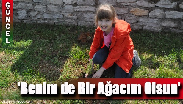 'BENİM DE BİR AĞACIM OLSUN' DEDİLER 50 FİDAN DİKTİLER