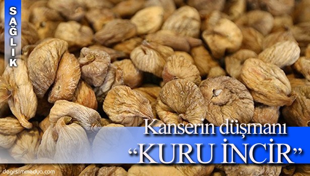 VÜCUDUN İHTİYACI OLAN TÜM BESİN DEĞERLERİ KURU İNCİRDE...