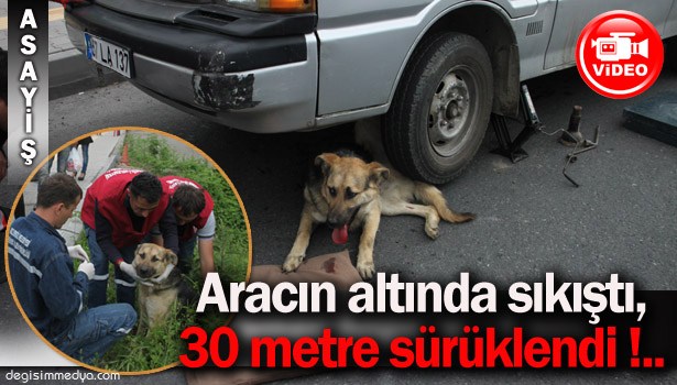 ARACIN ALTINDA SIKIŞAN VE 30 METRE SÜRÜKLENEN KÖPEĞİ, İTFAİYE KURTARDI