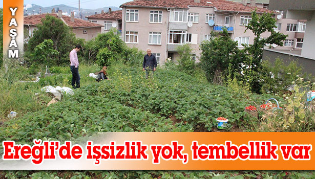 HEM ÜRETİYOR HEMDE KOMŞULARINI TEŞVİK EDİYOR