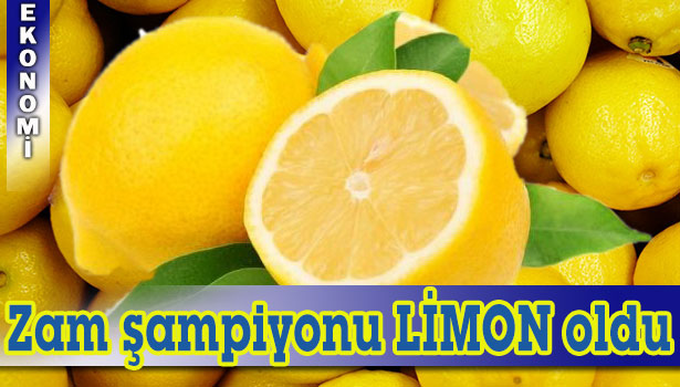 MAYIS AYININ ZAM ŞAMPİYONU LİMON OLDU