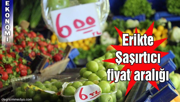 KIŞIN 600 TL, YAZIN 6 TL