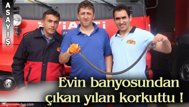 ALAPLI'DA BİR EVİN BANYOSUNDAN 1.5 METRE UZUNLUĞUNDA YILAN ÇIKTI