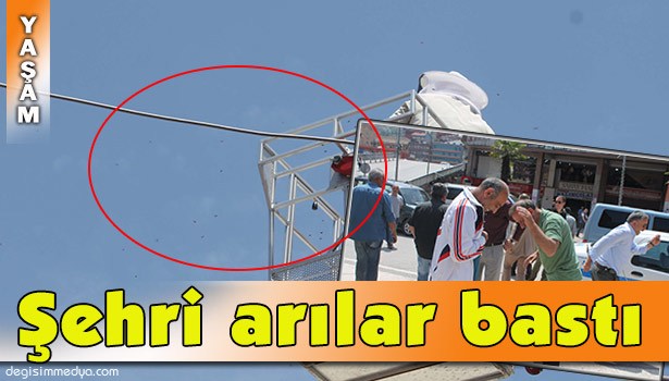 CAMİ SAÇAĞINDAKİ ARILARI ALMAK İSTERKEN ŞEHRİ ARILAR BASTI