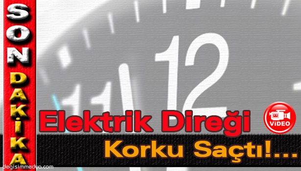 ELEKTRİK DİREĞİ KORKU SAÇTI