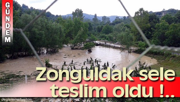 SAĞANAK YAĞMUR FİLYOS VE ÇATALAĞZI'NDA BASKINLARA SEBEP OLDU