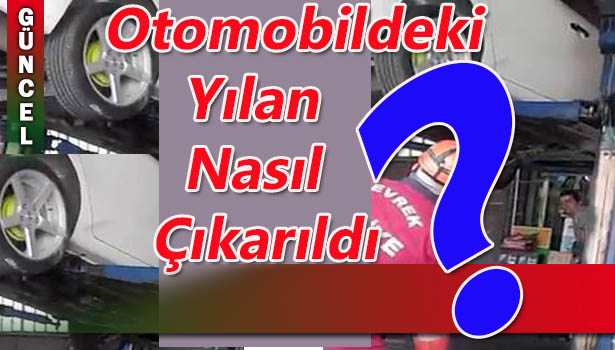 OTOMOBİLE GİREN YILAN BÖYLE ÇIKARTILDI