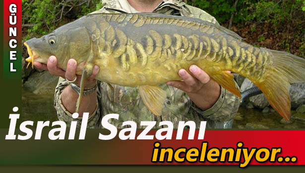 İSRAİL SAZANI İNCELEMEYE ALINDI