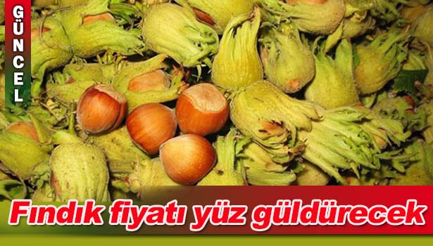 FINDIK FİYATLARININ BU YIL DA YÜKSEK OLMASI BEKLENİYOR