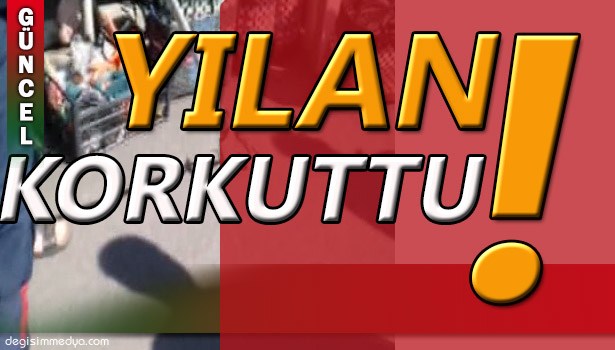 PAZARYERİNE İNEN YILAN KORKUTTU