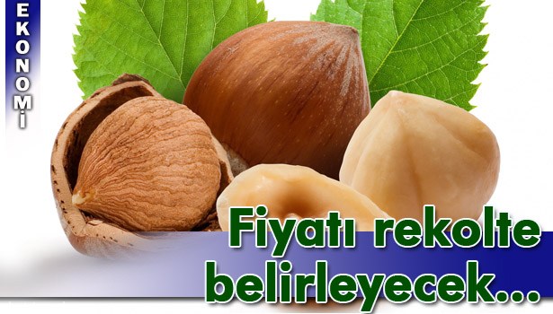 REKOLTE AÇIKLAMASINDAN SONRA FİYAT TARTIŞMALARI BAŞLADI