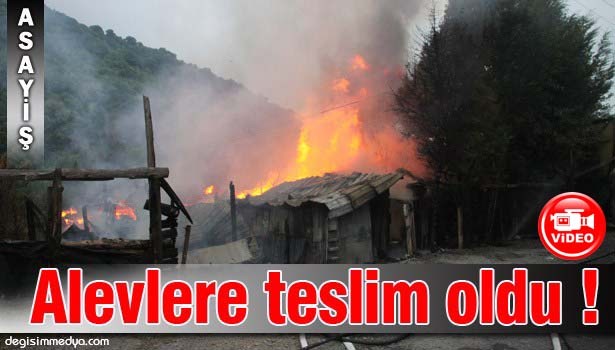 CAYIR CAYIR YANDI !..