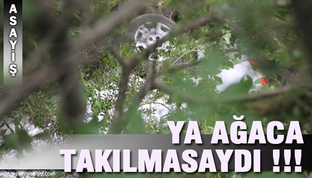 3 KİŞİLİK AİLEYİ ÖLÜMDEN AĞAÇ KURTARDI