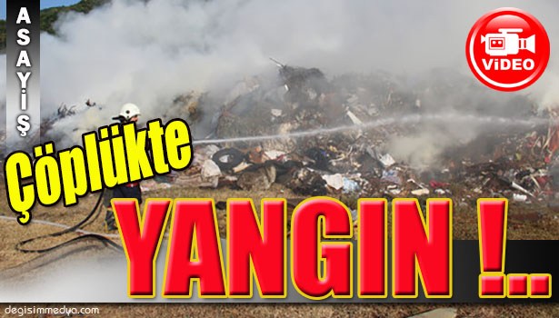 EREĞLİ KANDİLLİ YOLUNDA YANGIN PANİĞİ