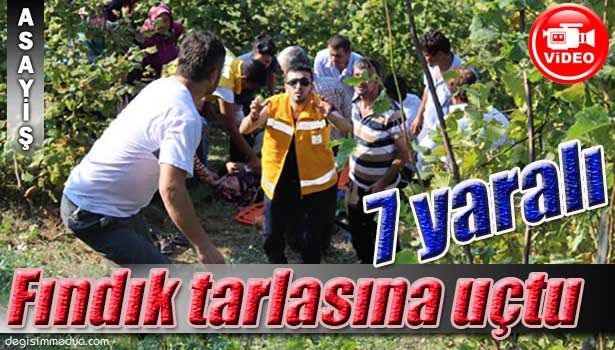 PATPAT FINDIK TARLASINA UÇTU: 1'İ AĞIR, 7 YARALI