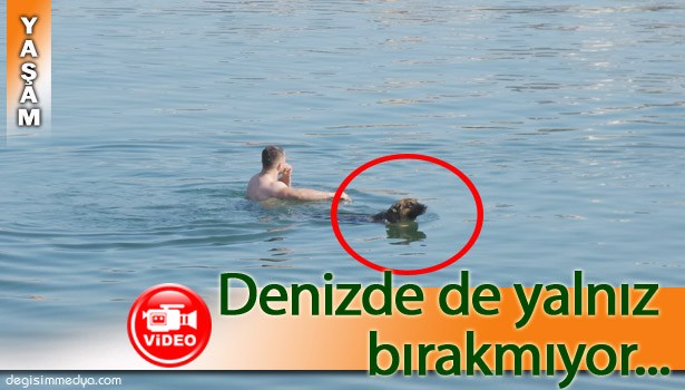 PUKİ, SAHİBİNİ DENİZDE DE YALNIZ BIRAKMIYOR