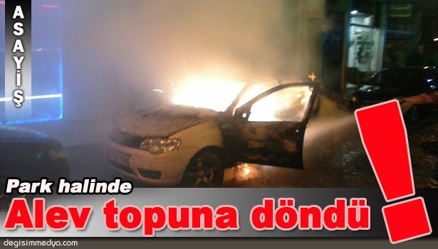 PARK HALİNDEKİ OTOMOBİL ALEV ALEV YANDI