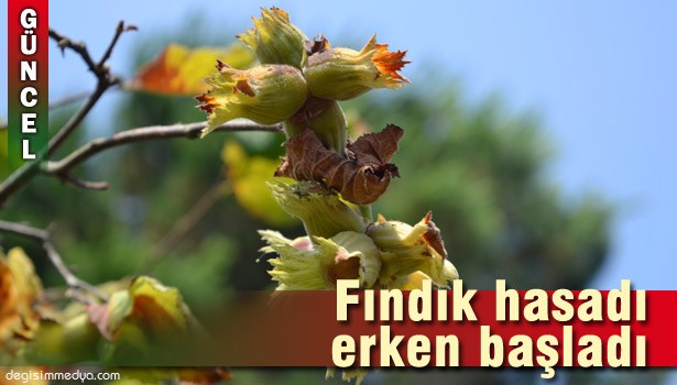 5 GÜN ERKEN BAŞLANDI...