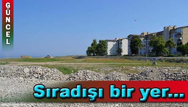 HURDA UÇAĞI ALAPLI'DA RESTORANA ÇEVİRECEK