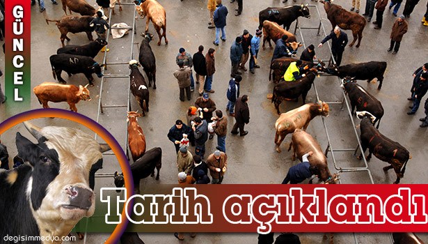 KURBANLIK SEVKİYATI 9 EYLÜL'DE BAŞLIYOR