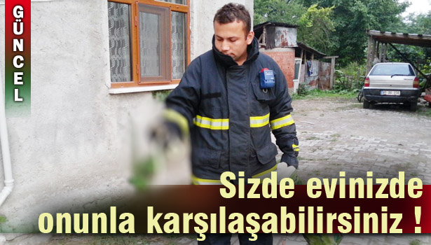 EVE GİREN YILANI İTFAİYE EKİPLERİ ÇIKARTTI !..