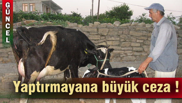 ŞAP AŞISI YAPTIRMAYANA 7 BİN 321 TL CEZA...