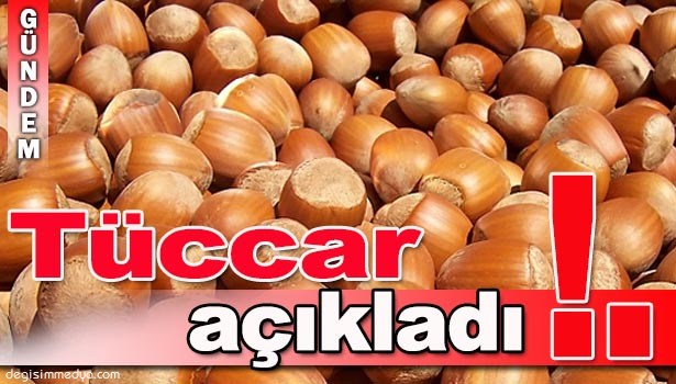 ALAPLI'DA TÜCCAR FINDIK FİYATINI AÇIKLADI