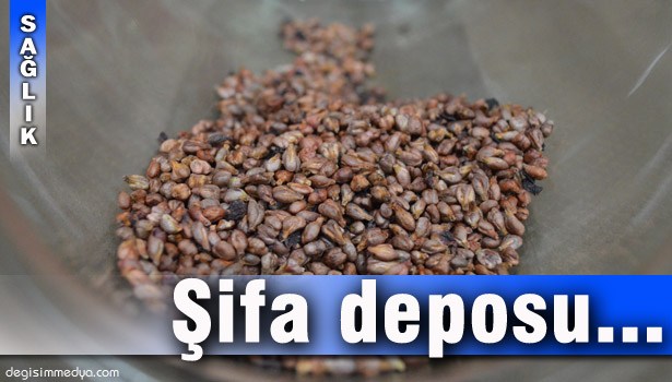 ÜZÜM ÇEKİRDEĞİ DEYİP GEÇMEYİN...