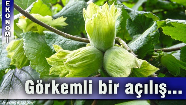 FINDIK YENİ SEZONA GÖRKEMLİ BİR AÇILIŞ İLE GİRİYOR