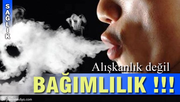 HER YIL 5 MİLYON KİŞİNİN YAŞAMI TEHDİT ALTINDA