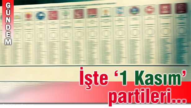 1 KASIM SEÇİMLERİ'NE KATILACAK PARTİLER AÇIKLANDI