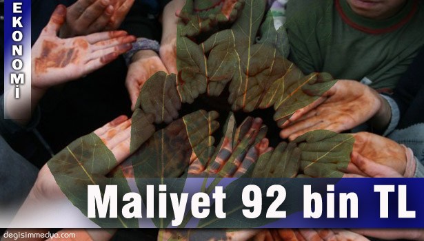 ALAPLI'DA "DEFNE KOKAN KINALI ELLER PROJESİ"