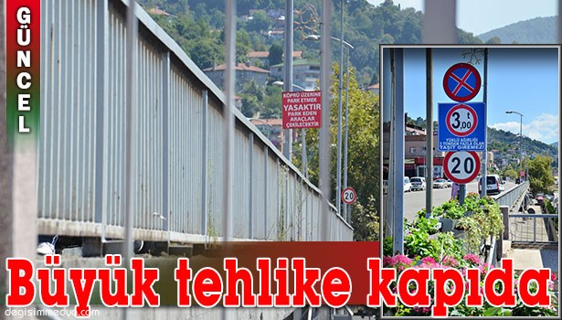 KÖPRÜYE BAKIM YAPMAK YERİNE ÇİÇEK EKTİLER