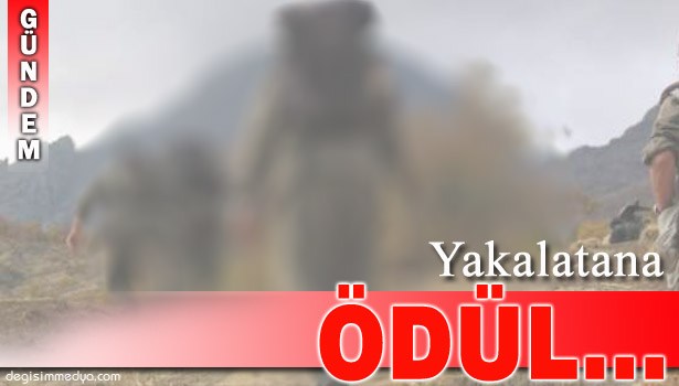 YAKALANMASINA YARDIMCI OLANA PARA ÖDÜLÜ VERİLECEK