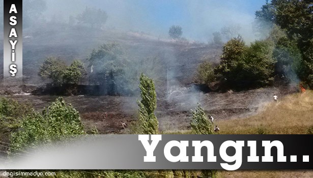 ZONGULDAK'TA ORMAN YANGINI