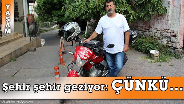 SOKAK HAYVANLARI İÇİN...