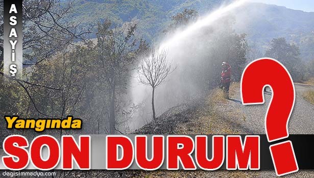 ORMAN YANGINI KONTROL ALTINA ALINDI