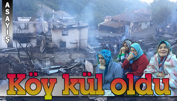 7 AHŞAP EV VE 8 SAMANLIK YANDI