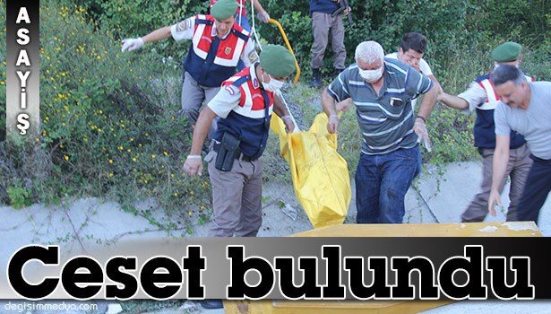 BARTIN'DA ORMANLIK ALANDA ERKEK CESEDİ BULUNDU