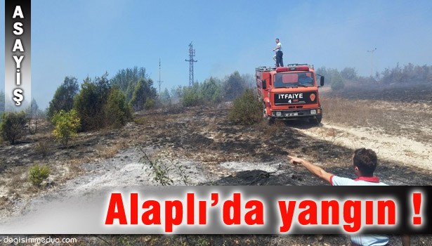 4 DÖNÜMLÜK ÇALILIK ALANDA YANGIN ÇIKTI