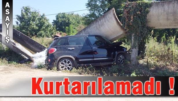 SU KANALETİNE ÇARPAN OTOMOBİLİN SÜRÜCÜSÜ ÖLDÜ