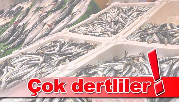 BALIKÇILAR DENİZDEN UMDUĞUNU BULAMAD