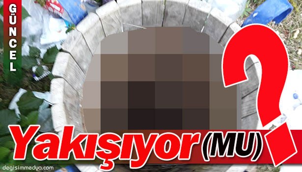 KENT ORMANINA YAKIŞMAYAN GÖRÜNRTÜLER