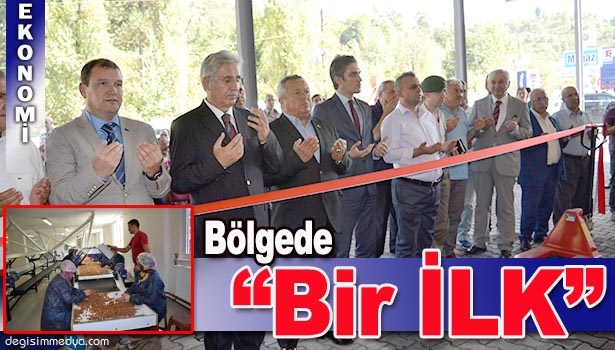 EREĞLİ'NİN İLK FINDIK FABRİKASI HİZMETE AÇILDI