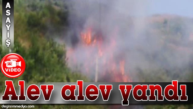 EREĞLİ'DE ORMAN YANGINI