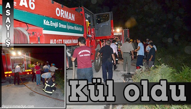 5 DÖNÜMLÜK ALAN KÜL OLDU